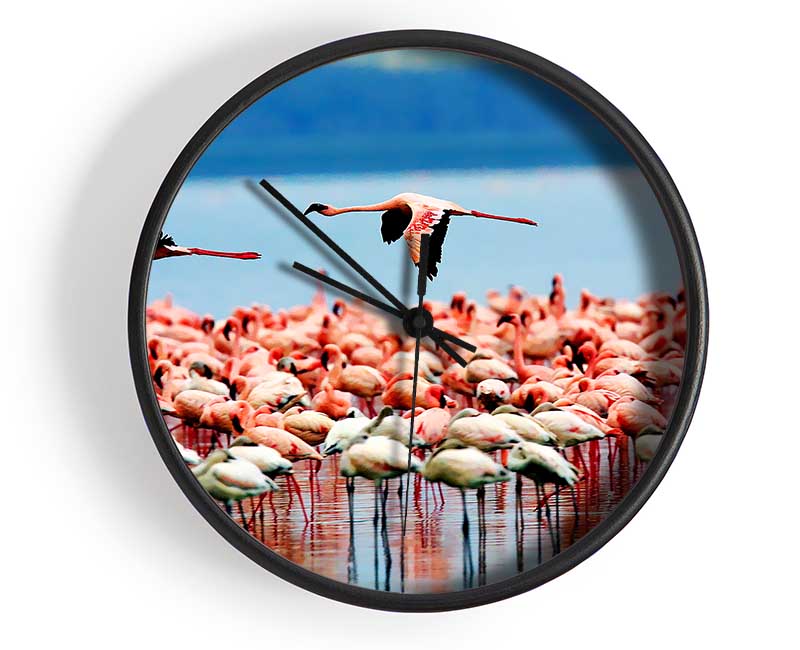 Pink Flamingos In Flight Clock - Wallart-Direct UK