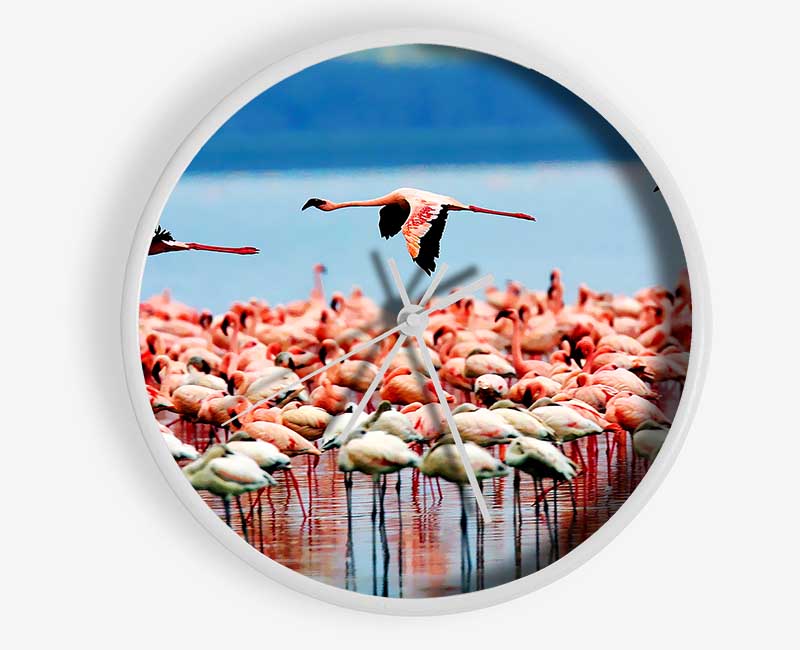 Pink Flamingos In Flight Clock - Wallart-Direct UK