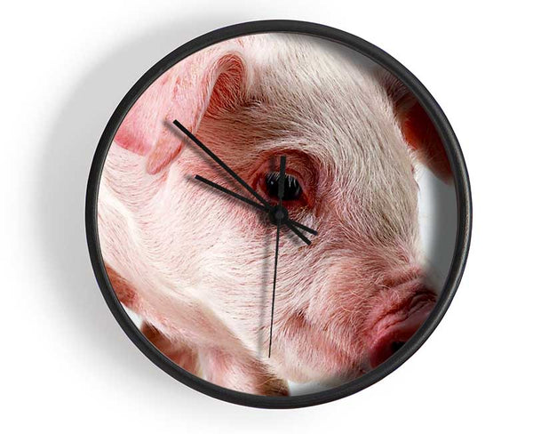 Pink Pig Clock - Wallart-Direct UK