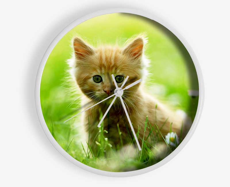 Playful Kitten Clock - Wallart-Direct UK