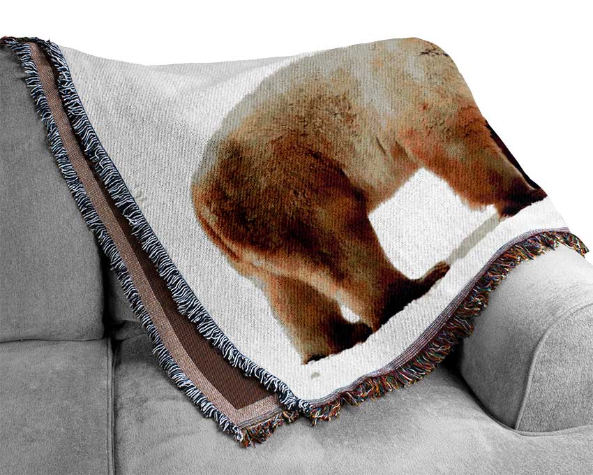 Polar Bear Love Woven Blanket