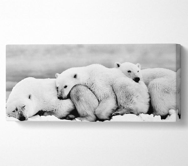 Polar bear Family