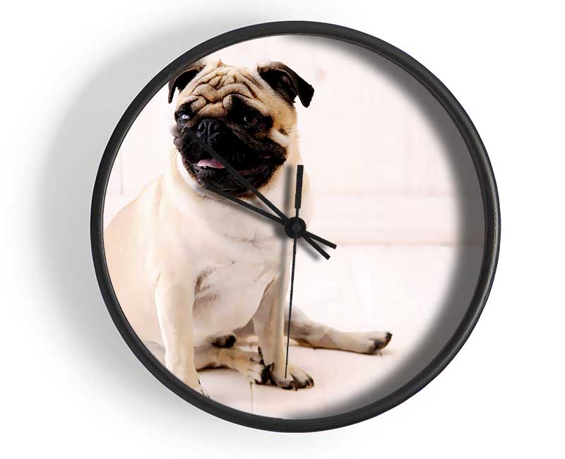 Pug Dog Clock - Wallart-Direct UK