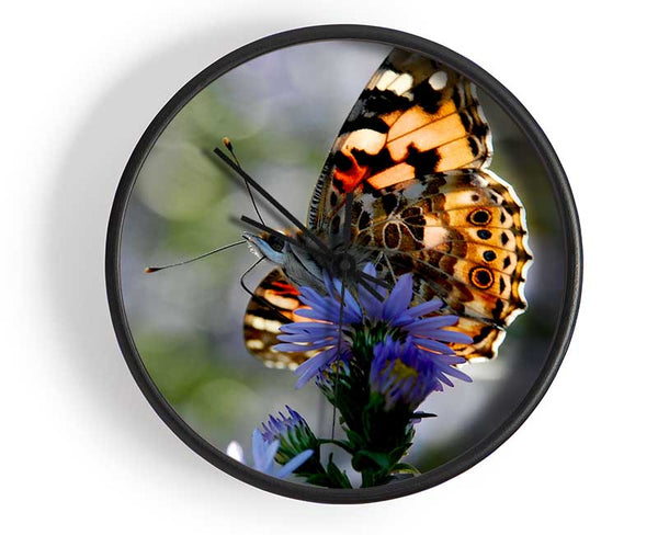 Purple Flower Butterfly Clock - Wallart-Direct UK