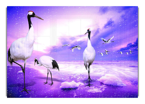 Red Crowned Cranes Japan