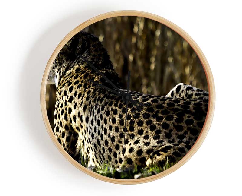 Resting Cheetah Clock - Wallart-Direct UK