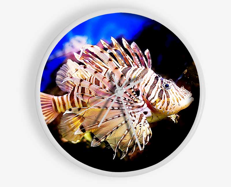 Sea Life Clock - Wallart-Direct UK