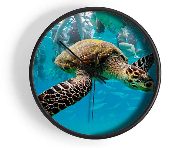 Sea Turtle Under Water Clock - Wallart-Direct UK