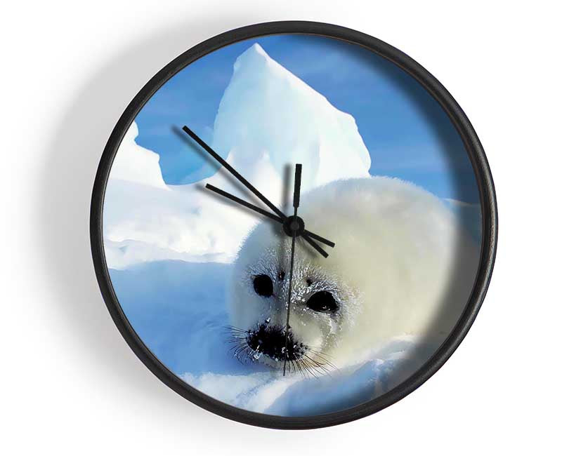 Seal Pup In The Snow Clock - Wallart-Direct UK