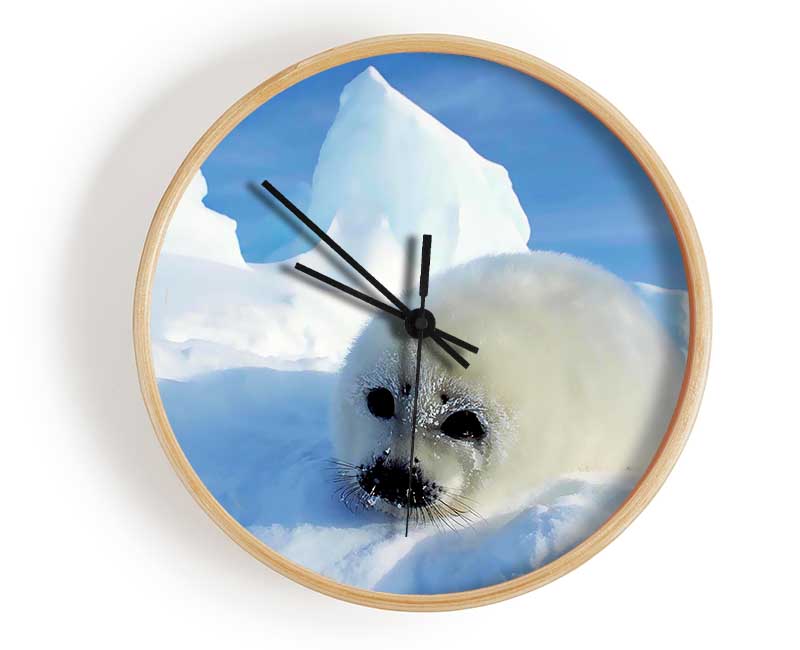 Seal Pup In The Snow Clock - Wallart-Direct UK