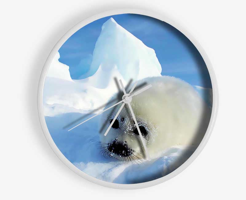 Seal Pup In The Snow Clock - Wallart-Direct UK