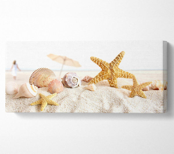 Seashells And Starfish On The Beach