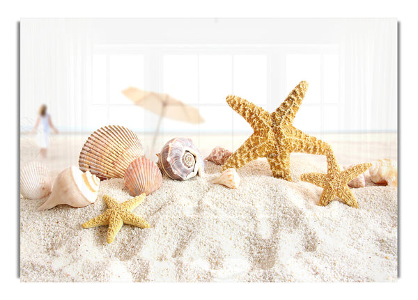 Seashells And Starfish On The Beach