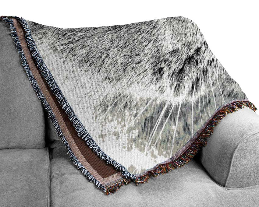 Serious Grey Cat Woven Blanket