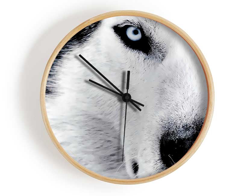 Siberian Husky Eyes Clock - Wallart-Direct UK