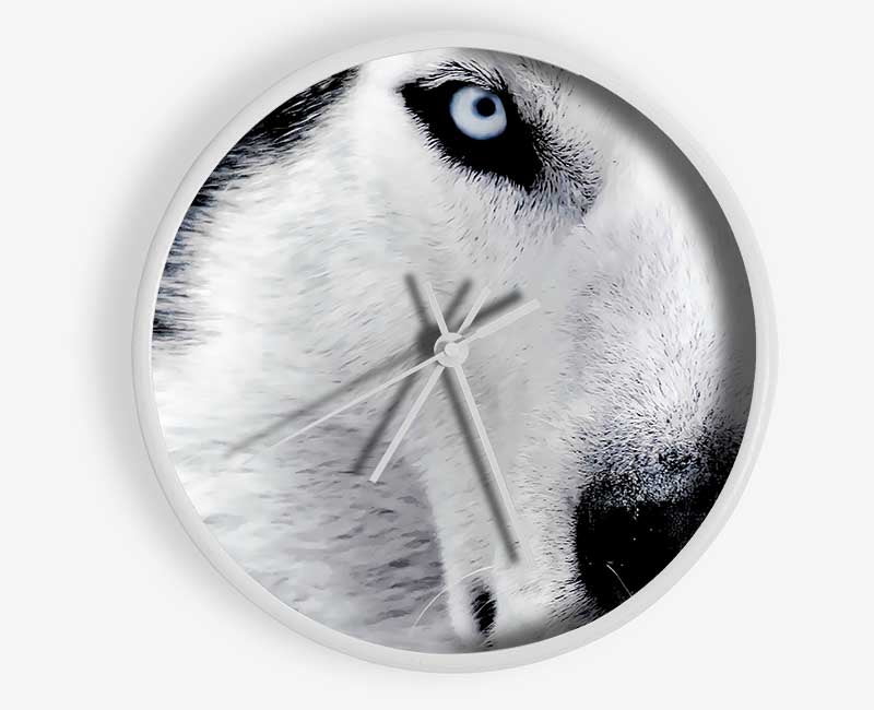 Siberian Husky Eyes Clock - Wallart-Direct UK