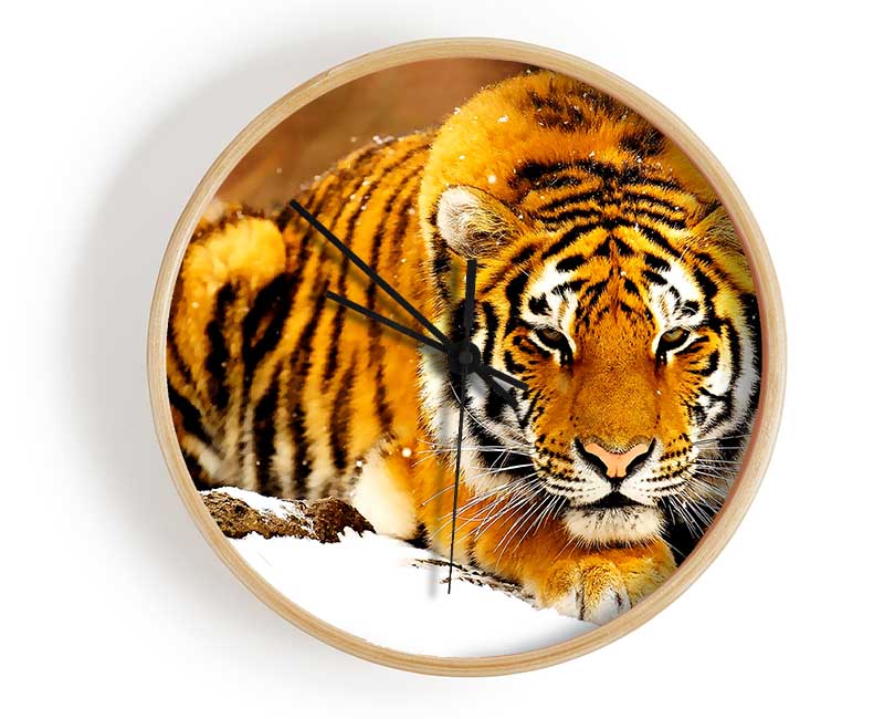 Siberian Snow Tiger Clock - Wallart-Direct UK