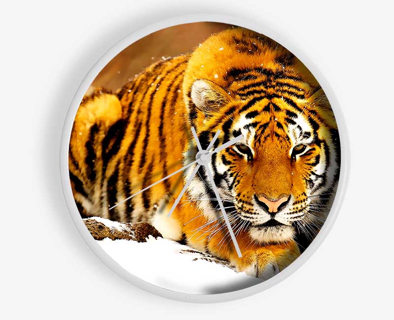 Siberian Snow Tiger Clock - Wallart-Direct UK