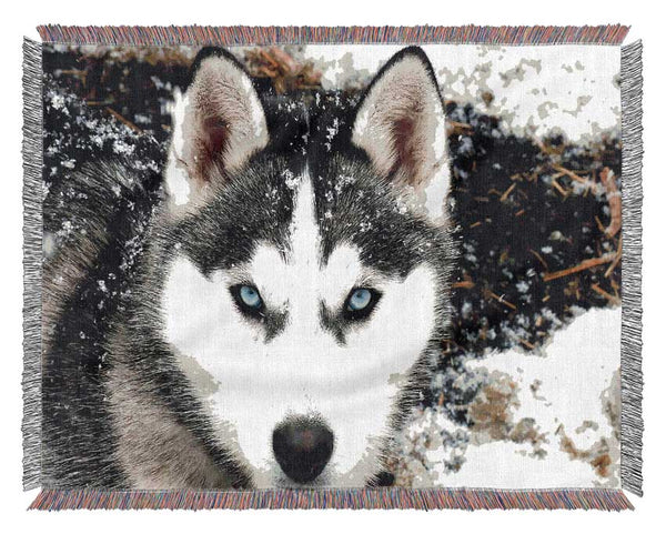 Siberian Husky Wolf Woven Blanket