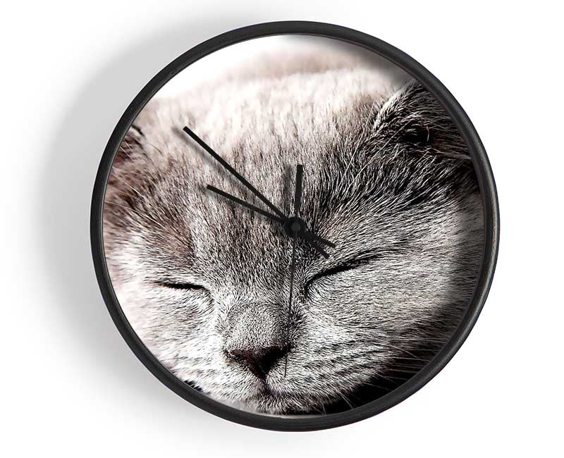 Sleepy Grey Kitten Clock - Wallart-Direct UK