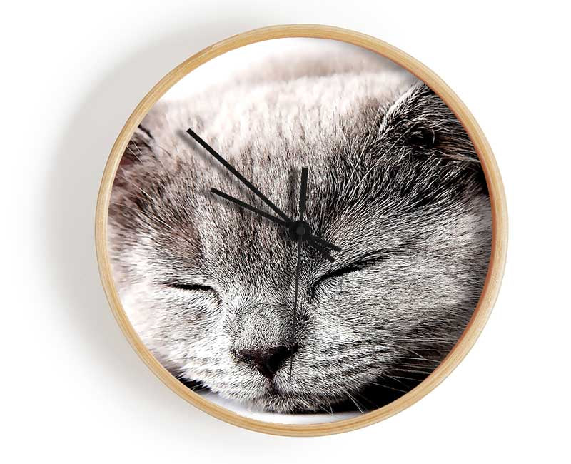 Sleepy Grey Kitten Clock - Wallart-Direct UK