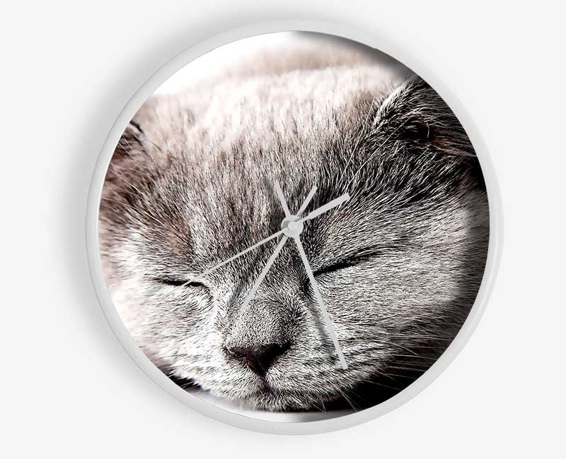 Sleepy Grey Kitten Clock - Wallart-Direct UK