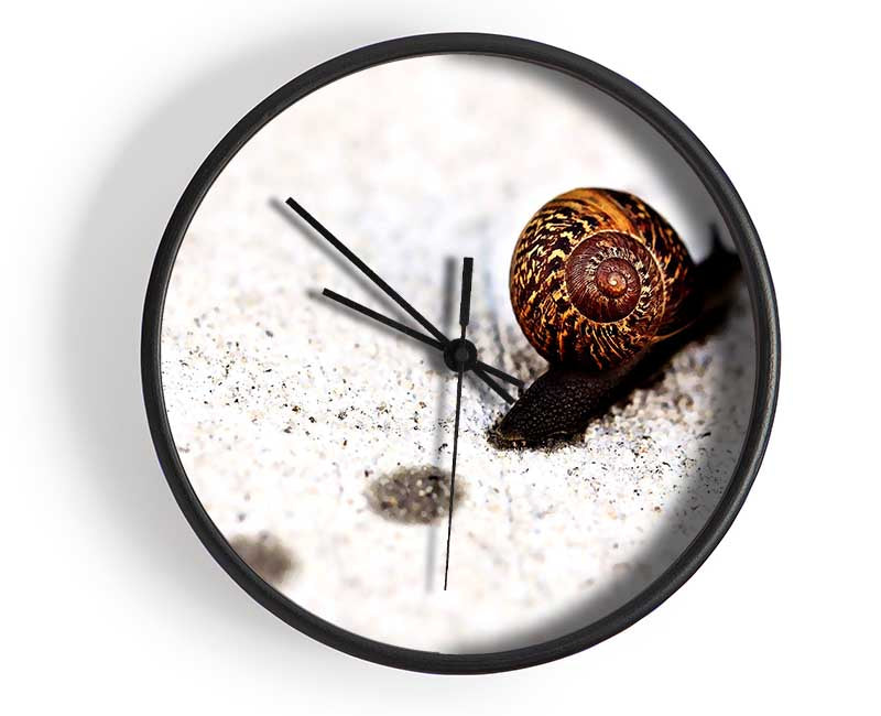 Snail Track Macro Clock - Wallart-Direct UK