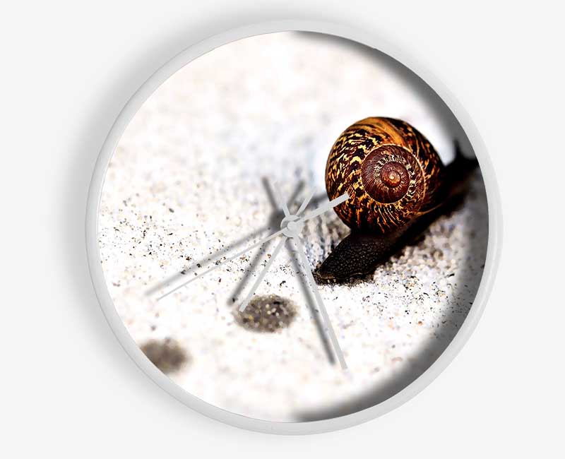 Snail Track Macro Clock - Wallart-Direct UK