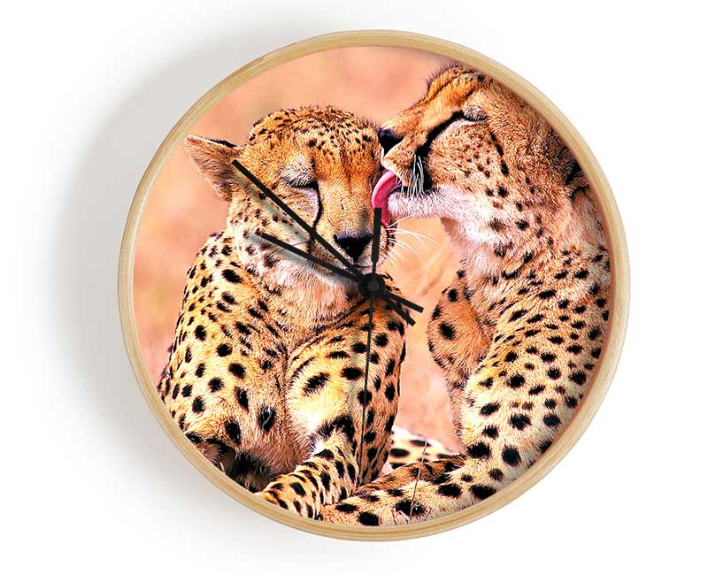 South African Cheetahs Clock - Wallart-Direct UK