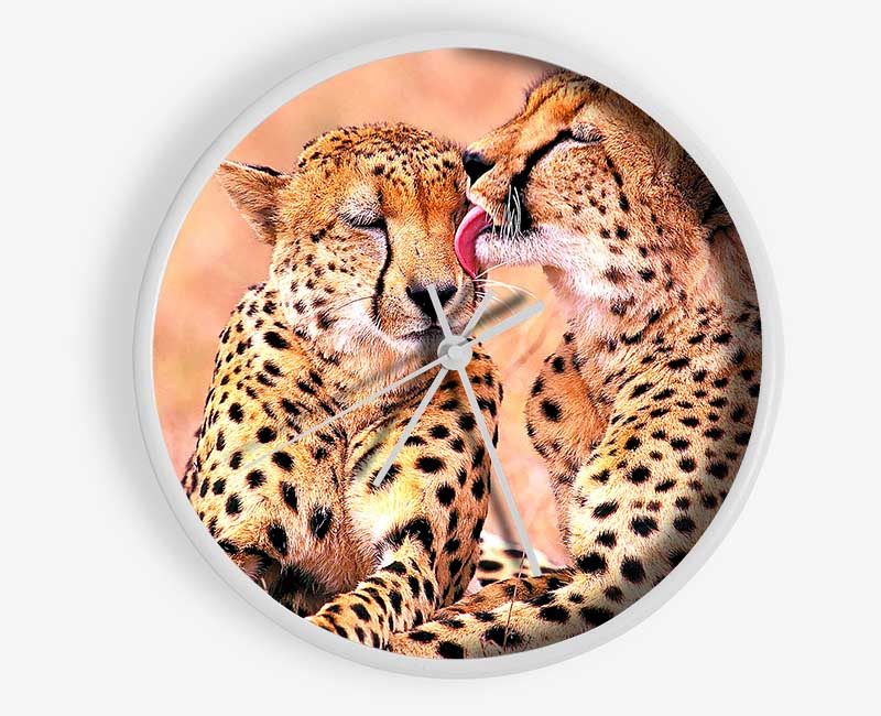 South African Cheetahs Clock - Wallart-Direct UK