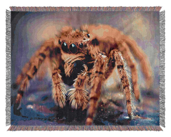 Spider Close-Up Woven Blanket