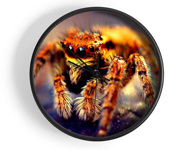 Spider Close-Up Clock - Wallart-Direct UK