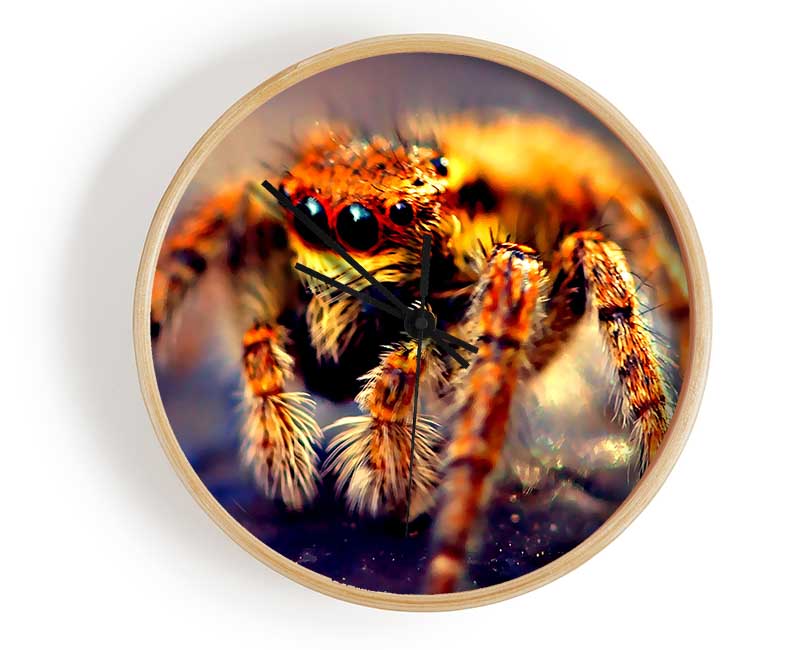 Spider Close-Up Clock - Wallart-Direct UK