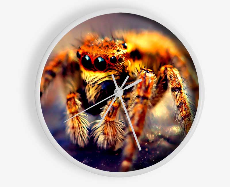 Spider Close-Up Clock - Wallart-Direct UK