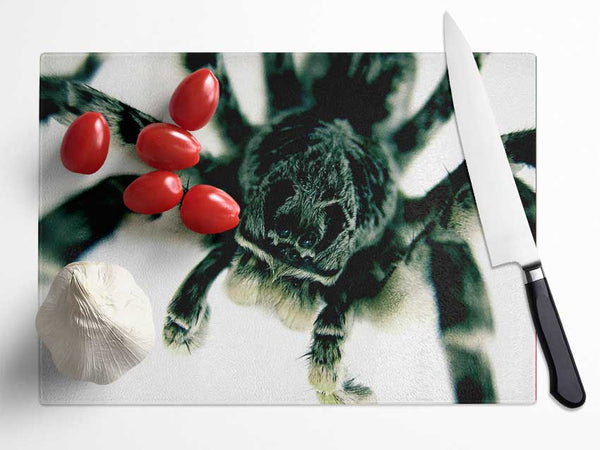 Spider Stare Glass Chopping Board