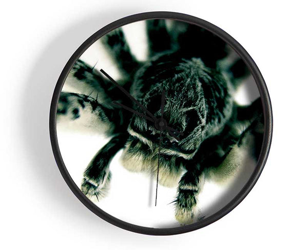 Spider Stare Clock - Wallart-Direct UK