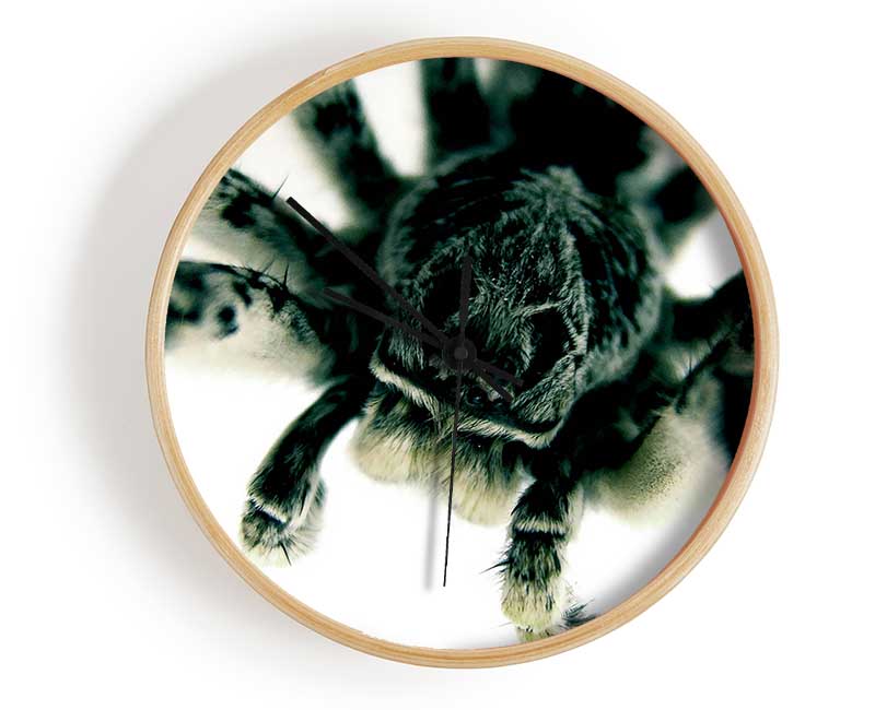 Spider Stare Clock - Wallart-Direct UK