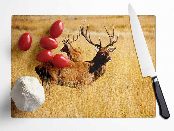 Stag Duo Glass Chopping Board