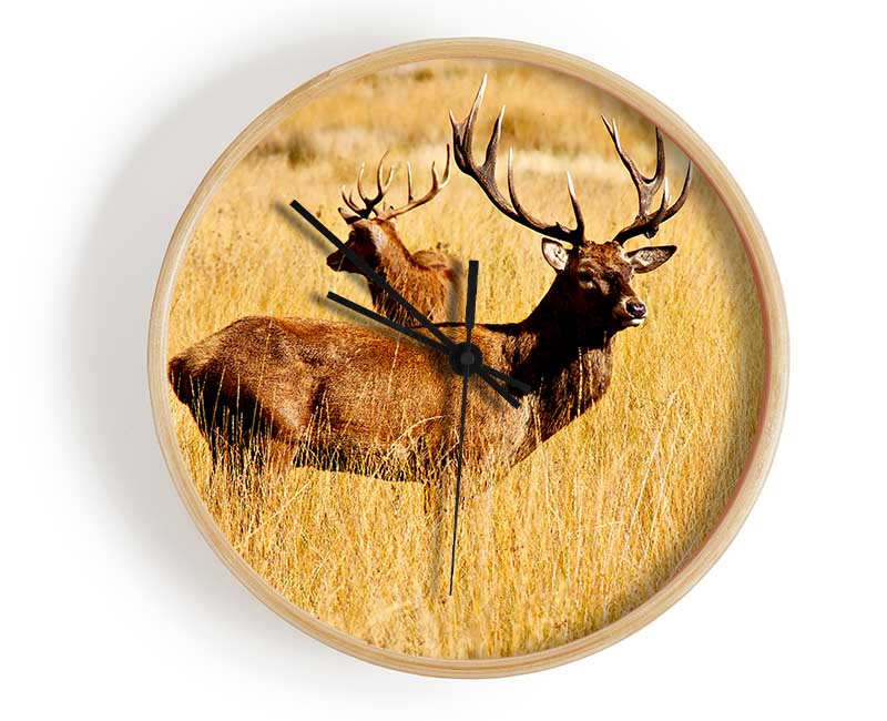 Stag Duo Clock - Wallart-Direct UK