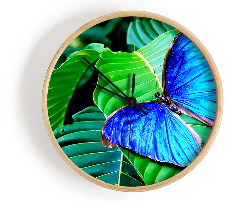 Stunning Blue Butterfly Clock - Wallart-Direct UK