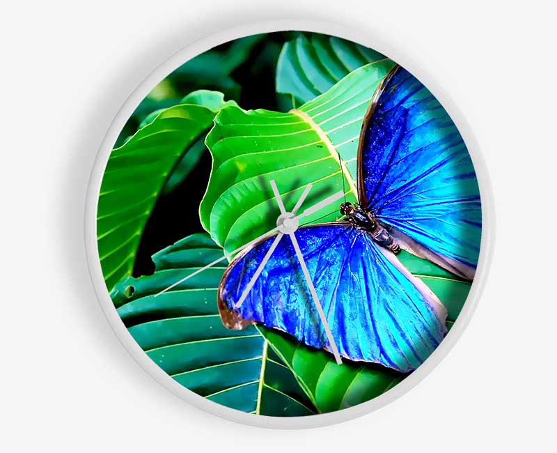 Stunning Blue Butterfly Clock - Wallart-Direct UK