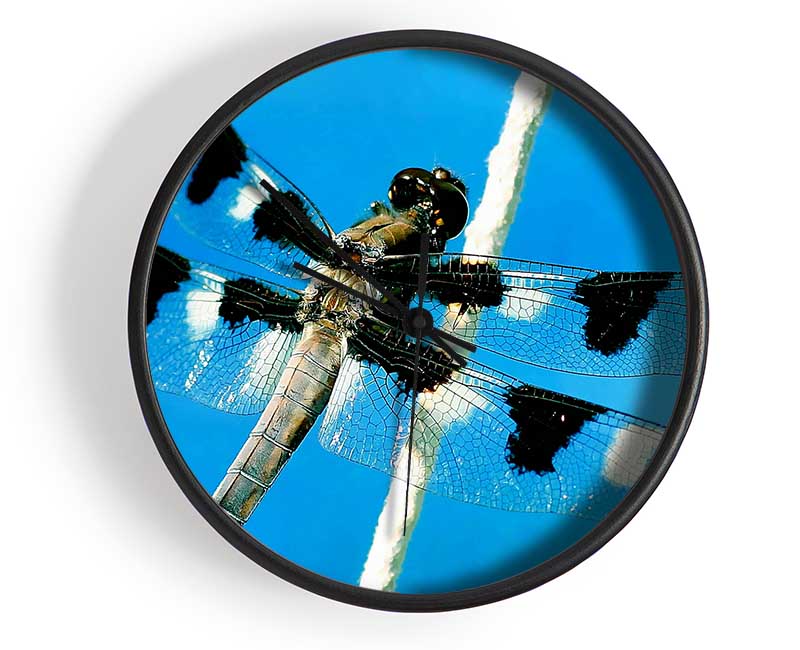 Stunning Winged Insect Clock - Wallart-Direct UK