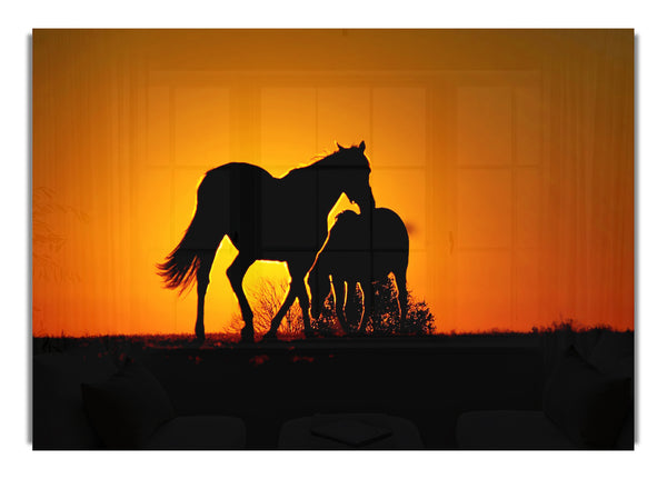 Sunset Horses