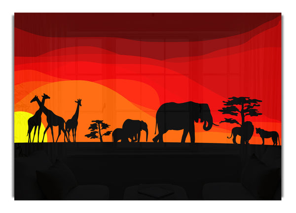 Sunset Safari