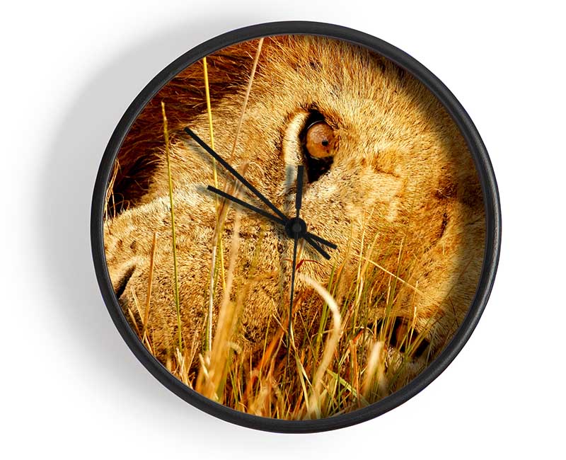 The Eye Of Lion Clock - Wallart-Direct UK