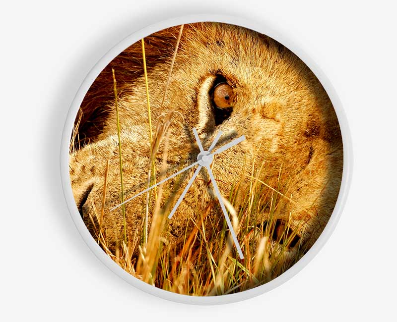 The Eye Of Lion Clock - Wallart-Direct UK