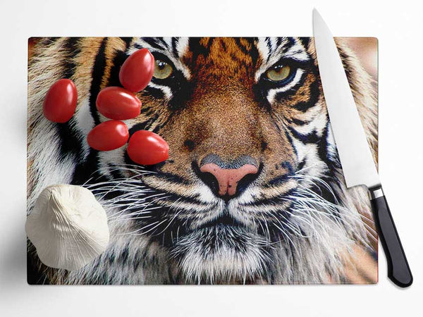 Tiger Face Glass Chopping Board