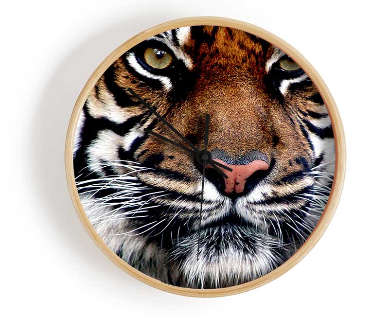 Tiger Face Clock - Wallart-Direct UK