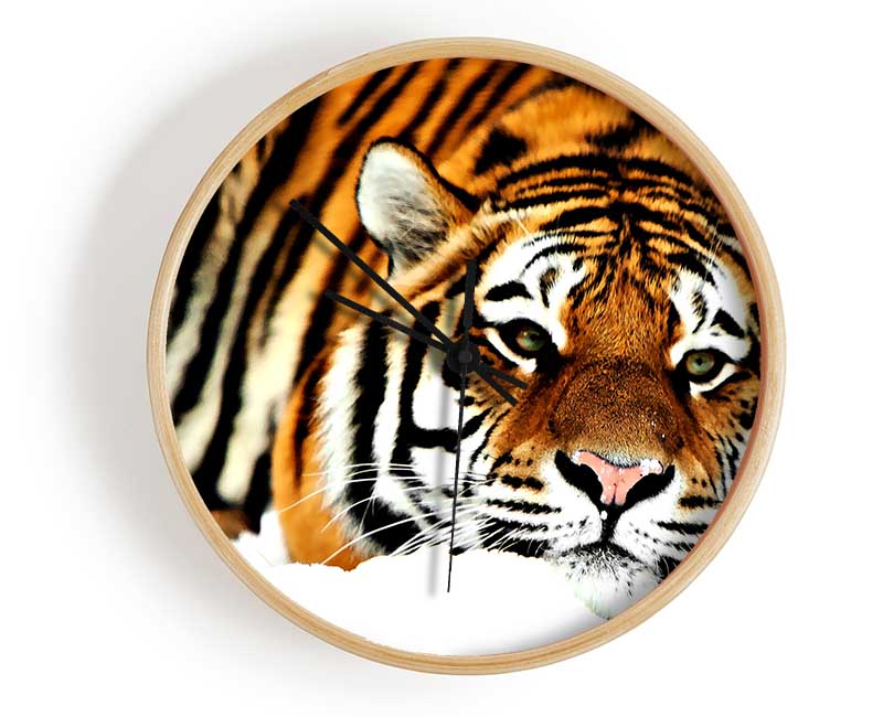 Tiger After The Hunt Clock - Wallart-Direct UK