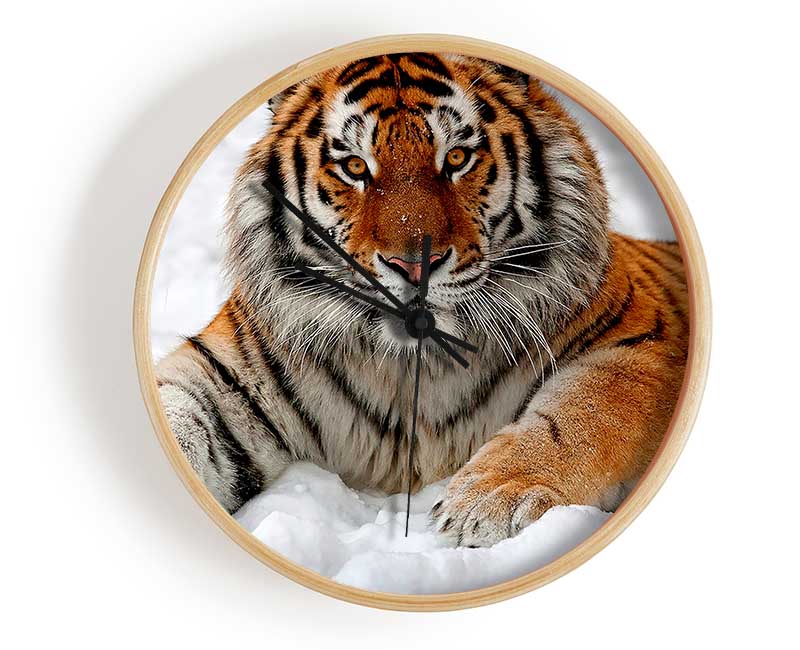 Tiger In Snow Clock - Wallart-Direct UK